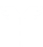 MINA Medical Marketing